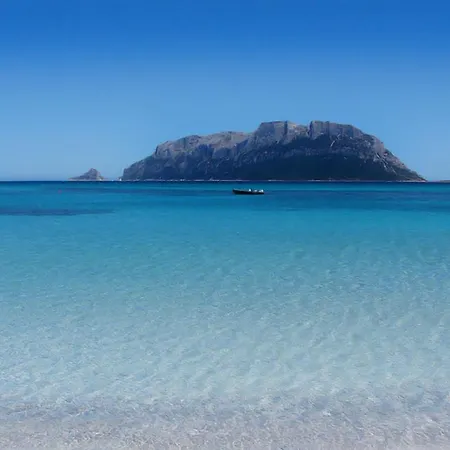Pittulongu, Trilocale Vista Mare Holiday home Olbia